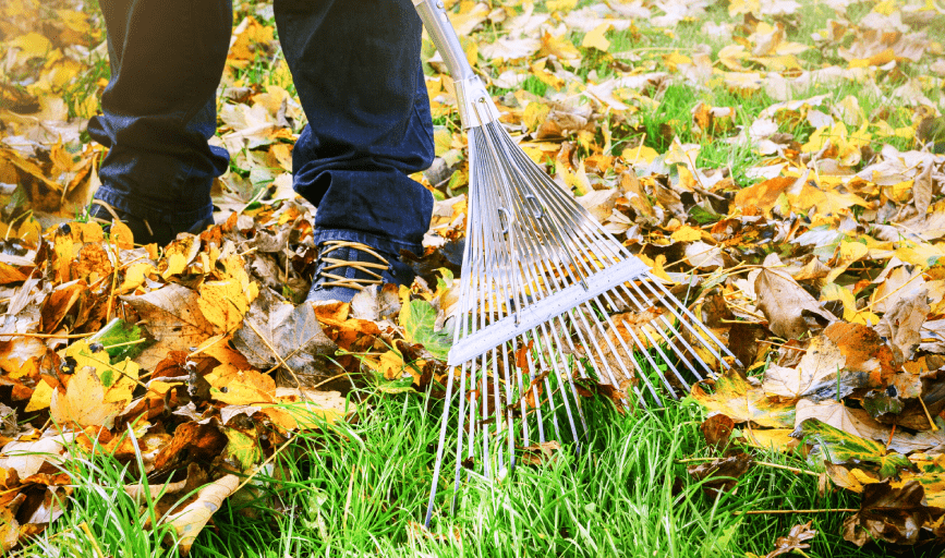 YARD CLEAN UP
